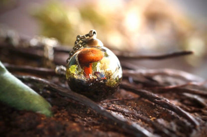 Moss Pixie Cup Lichen With Tiny Mushrooms Globe Terrarium Necklace